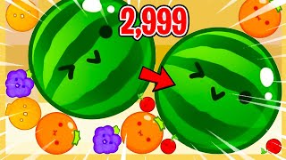 The Watermelon Game Broke Me screenshot 5