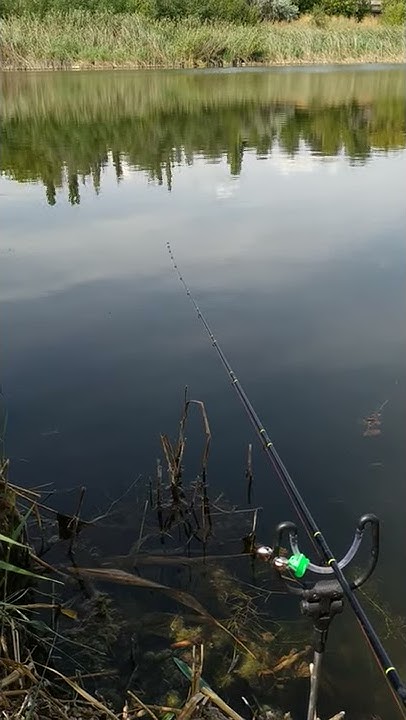 Flagman Cast Master Picker 2.7m 40g - YouTube