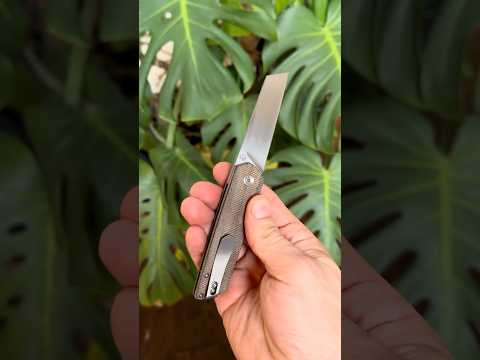 Brian Brown Finch Reate OEM Handrub M390 Titanium Linerlock Knife  Minimalist Micarta
