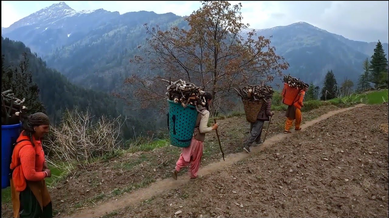 DESA HIMACHAL PRADESH, INDIA: RITME KEHIDUPAN MANUSIA & ALAM