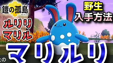 マリルリアクジェ入手 マリルリアクジェ入手