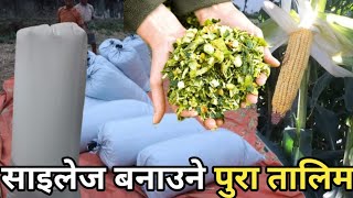 Download lagu अब घरमै यसरी बनाउन सकिन्छ साइलेज सबै जानकारी कम लगानीमा||How to make Silage at Home?