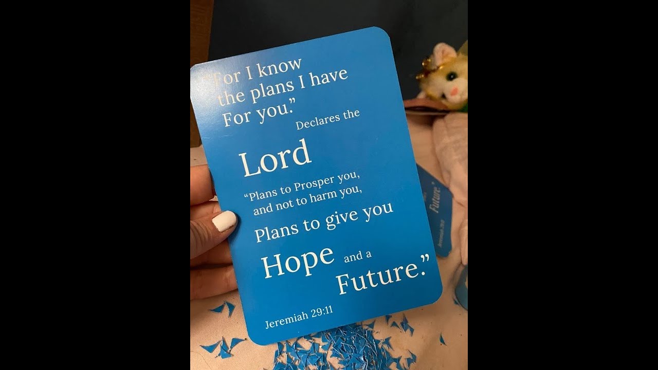 Binditek 3-in-1 Corner Rounder, R4mm+R7mm+R10mm, 3-Way Paper Corner Punches, Corner Cutter fo Review