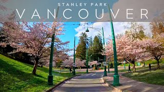 Full Vancouver Stanley Park Seawall 4K Relaxing Sunset Drive Chill Music News