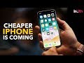 Cheaper iphone is coming  inuth