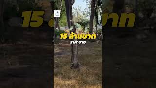 ขาย/เช่า บางนา-ตราด กม.24  อาคารโรงงาน
