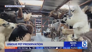Unique pet preservation in L.A.