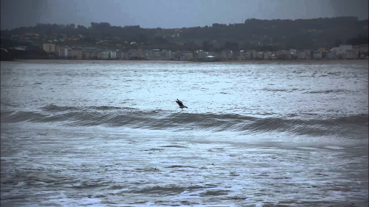 Tom Waits Jersey Girl YouTube