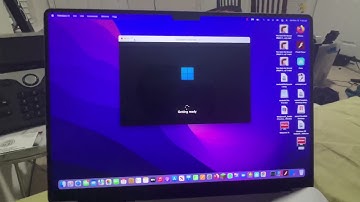 I learned from my mistakes on the computer that I installed MEMZ on. This time I’m using a VM￼
