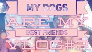 MY DOGS ARE MY BEST FRIENDS || 06.11.17 || Vlog#2 || ASHLEY DEVINO