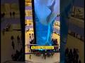 Something Fell From Above Into a Giant Mall Aquarium… Shocking Footage