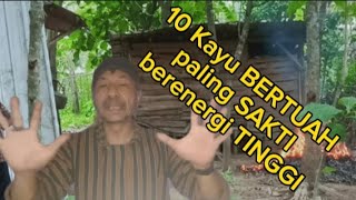 10 Most Powerful Magic Woods with HIGH Energy (@Mbah Yadi Channel)