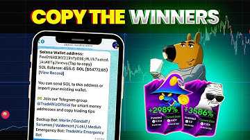 These Wallets Are PRINTING Money… NEW COPY TRADING STRATEGY!