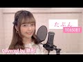 【台湾人が歌ってみた】たぶん / YOASOBI (Covered by 依彤）