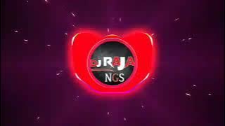 Chhattisgarhi Dhun Dj || Nonstop Cg Banjo Pad Mix ||Dj Raja Ngs