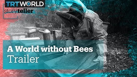A World without Bees | Storyteller | Trailer
