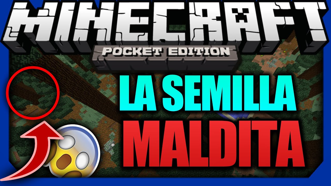 Las Semillas Mas Bonitas De Minecraft