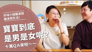 寶寶性別大公開10萬QA終於來啦【腦波弱日常EP4】