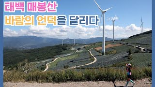 Taebaek Maebongsan, Running the Hill of Wind. A Must-Ride Course