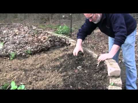 Video: Keyhole Gardening: maak Keyhole-tuinbedden in uw tuin