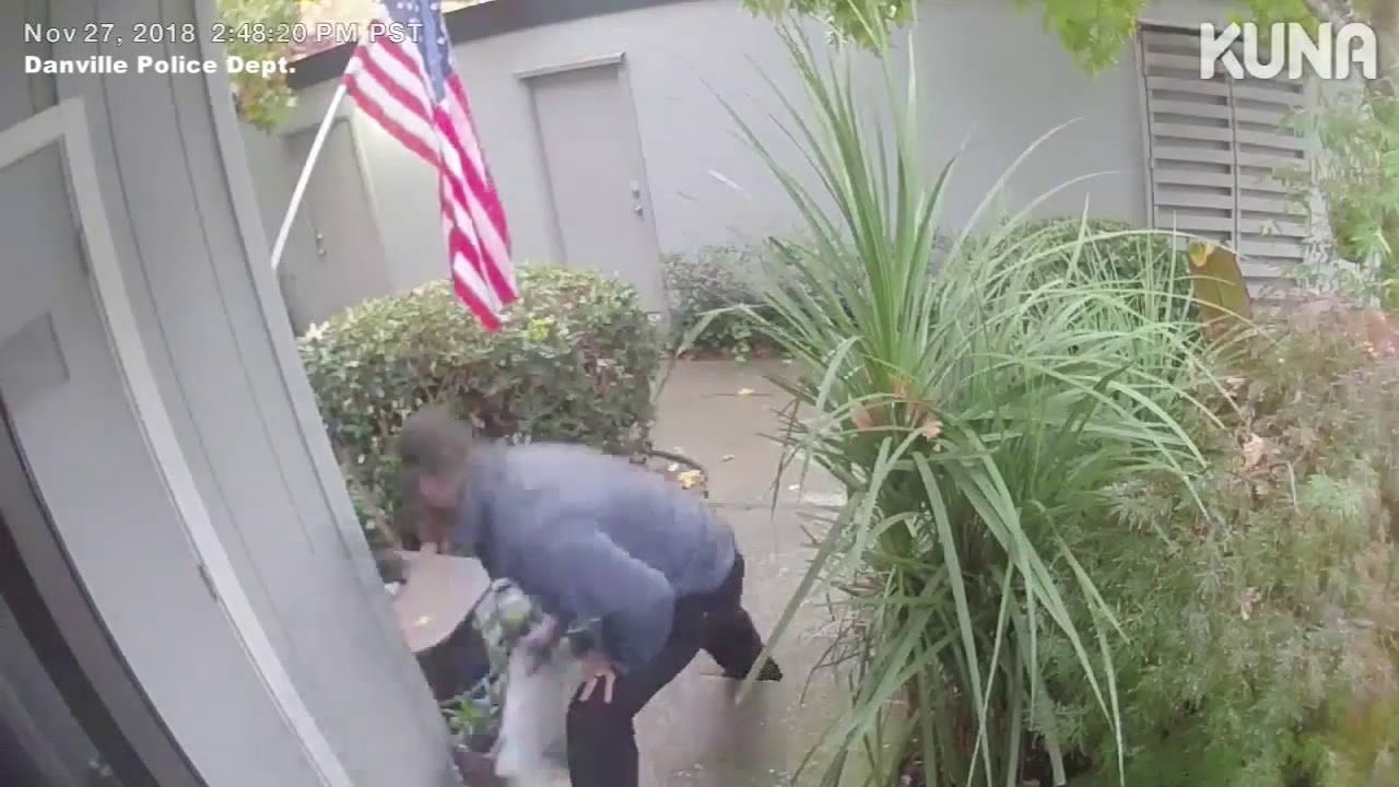 Man caught on camera taking boxes from Danville home - YouTube