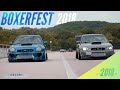 Boxerfest 2018: The Film