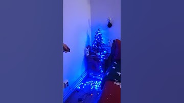 Arduino Christmas Lights