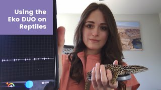 Using the Eko DUO Digital Stethoscope on Reptiles