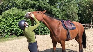 PROOF HORSES HATE BEING RIDDEN