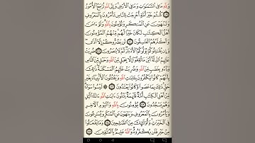 ماهر المعيقلي سورة آل عمران مكتوبة صفحة 64 مصحف المدينة المنورة جودة عالية