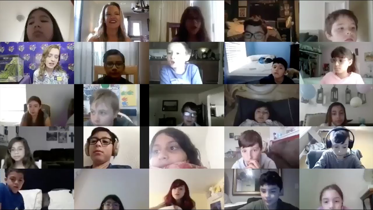 What is a ZOOm Room Virtual Animal Encounter experience like?