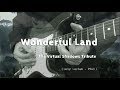 Wonderful land   the shadows cover by the virtual shadows tribute