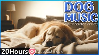 20시간 강아지 수면 유도 음악🎵집에 혼자있는 강아지의 분리불안 해소음악🦮💖강아지가 좋아하는 음악🐶스트레스 이완 음악 - 외출시 꼭 재생하여 도움을 얻으세요!