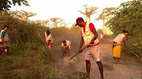 2025 IUCN WCPA International Ranger Awards - Allée des Baobabs, Madagascar