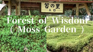 苔の里 Koke-no-sato| Forest of Wisdom | 033 VLOG | Clarisse Mori