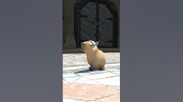 FFXIV - Minion: Capybara Pup