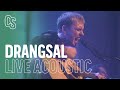 Drangsal LIVE, Cardinal Sessions Festival - FULL SHOW