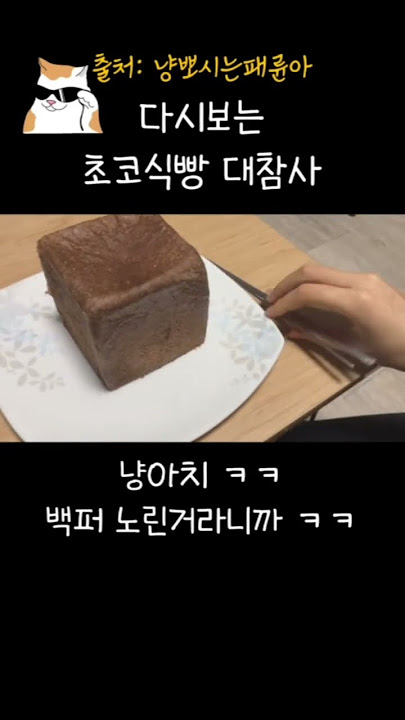 초코식빵 대참사 #cat #funny #shorts