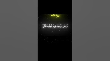 اكتب شي تؤجر عليه | القارئ محمد اللحيدان🤍🖤