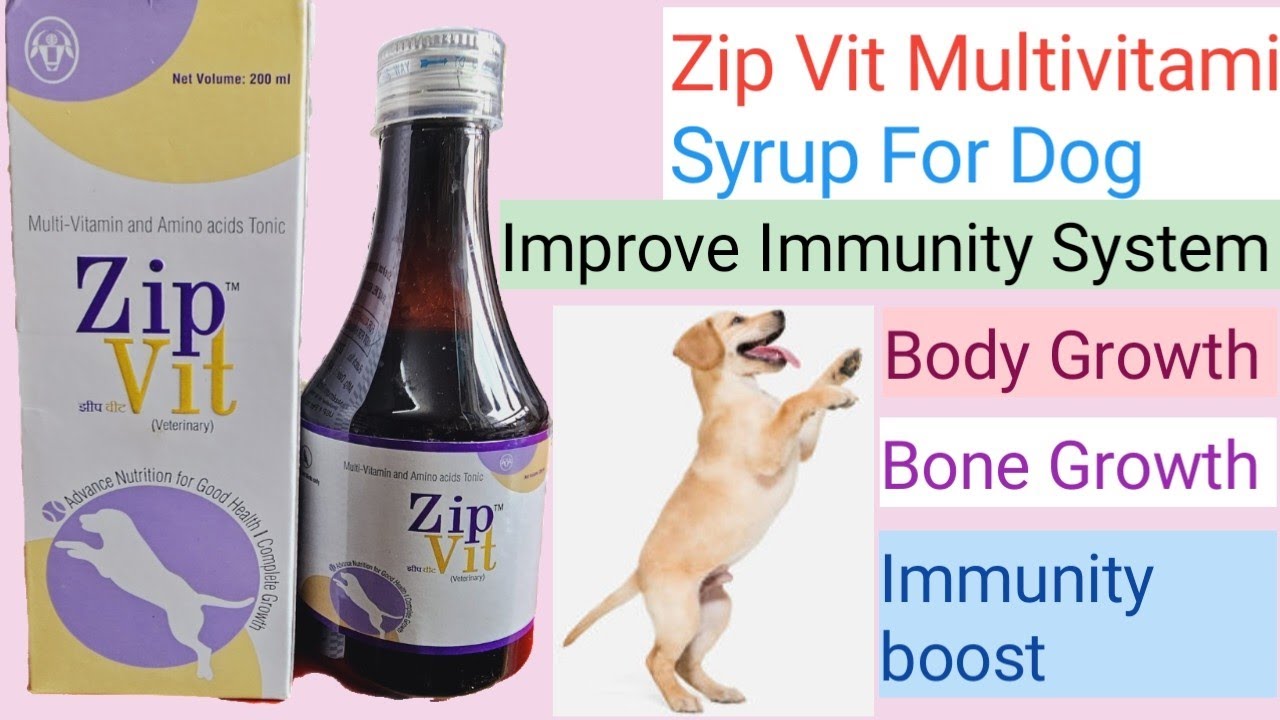 Best Multivitamin Syrup for dog /Pet Dogs intas company Products / use of Zip vit