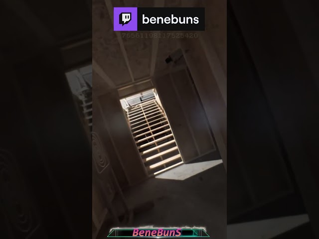 deux pour le prix d'un | benebuns sur #Twitch