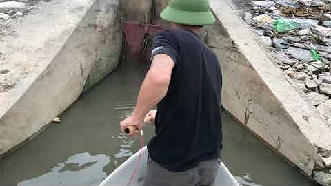 Kích Cá Rô Phi Nổi Như Phao,Thực Tế Cá Nổi Đẹp 0985802199