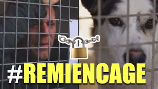 LOCKED IN A CAGE FOR 87 HOURS (REMI GAILLARD) 🐶