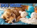 20 Hours of Calming Dog Music🦮💖Relaxing Music for Anxious Dogs🎵🦮Helps with Calm & Sleep, Dog TV