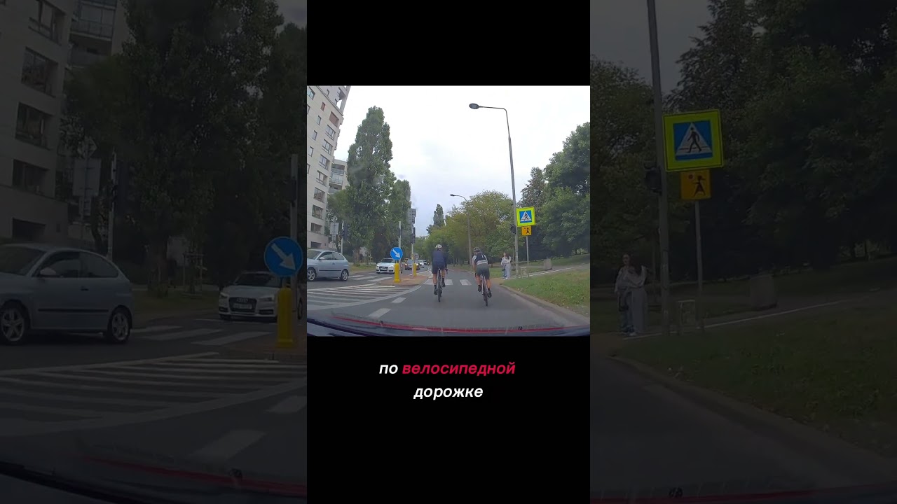 Мои "любимые" велосипедисты... 🥰