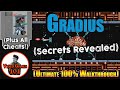 Gradius NES Komplettlösung Ultimativer Überlebensleitfaden Mit Cheats Videospiele 101 Gradius NES Komplettlösung Ultimativer Überlebensleitfaden Mit Cheats Videospiele 101