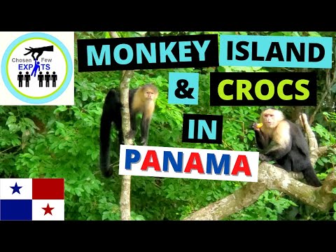 MONKEY ISLAND TOUR - Gamboa Rainforest - Gatun Lake - Panama Canal | Live in Panama | Move to Panama