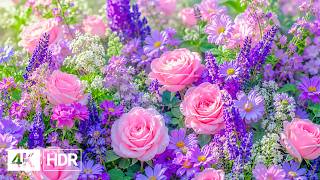 🌸 Beautiful Flowers in 4K | Nature's Most Breathtaking Blooms