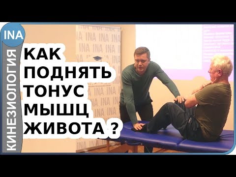 Как восстановить мышцы живота и получить плоский живот? Прикладная кинезиология