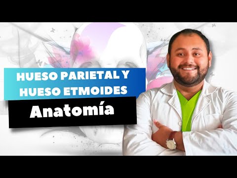 Huesos Parietales y Hueso Etmoides